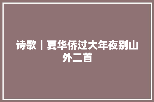 诗歌｜夏华侨过大年夜别山外二首