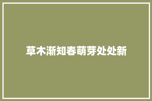草木渐知春萌芽处处新