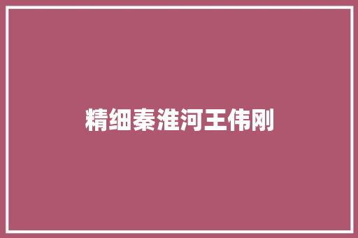 精细秦淮河王伟刚