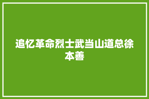 追忆革命烈士武当山道总徐本善