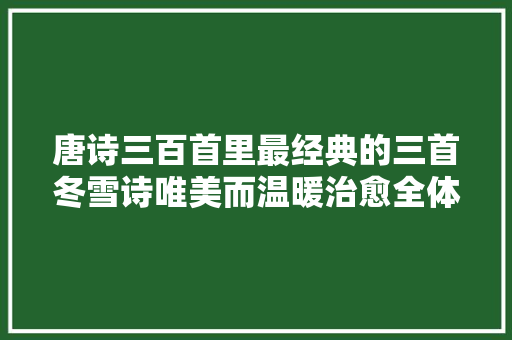 唐诗三百首里最经典的三首冬雪诗唯美而温暖治愈全体冬天