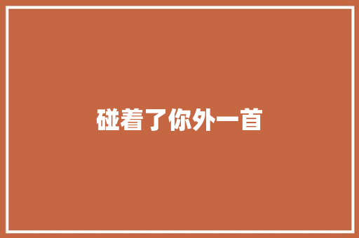 碰着了你外一首