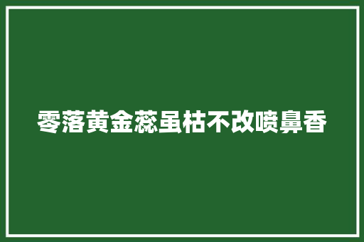零落黄金蕊虽枯不改喷鼻香