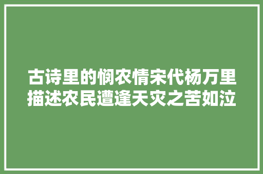 古诗里的悯农情宋代杨万里描述农民遭逢天灾之苦如泣如诉