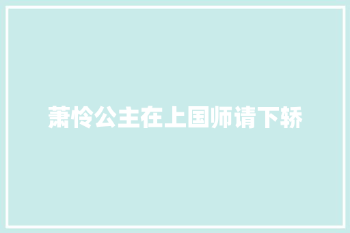 萧怜公主在上国师请下轿