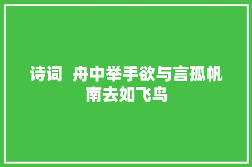 诗词  舟中举手欲与言孤帆南去如飞鸟