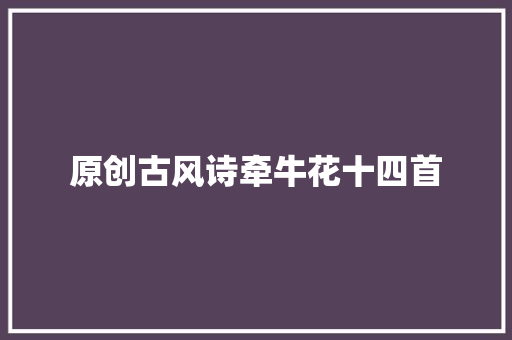 原创古风诗牵牛花十四首
