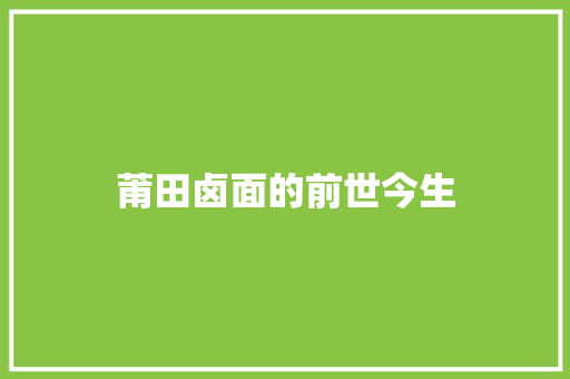 莆田卤面的前世今生
