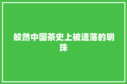皎然中国茶史上被遗落的明珠
