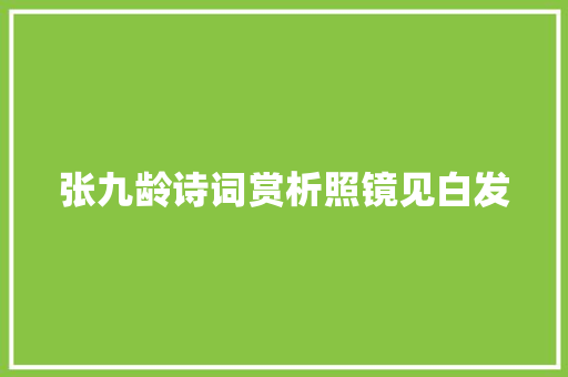 张九龄诗词赏析照镜见白发