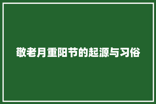 敬老月重阳节的起源与习俗