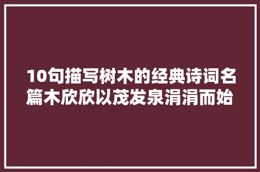 10句描写树木的经典诗词名篇木欣欣以茂发泉涓涓而始流