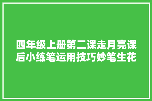 四年级上册第二课走月亮课后小练笔运用技巧妙笔生花