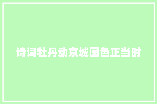 诗词牡丹动京城国色正当时