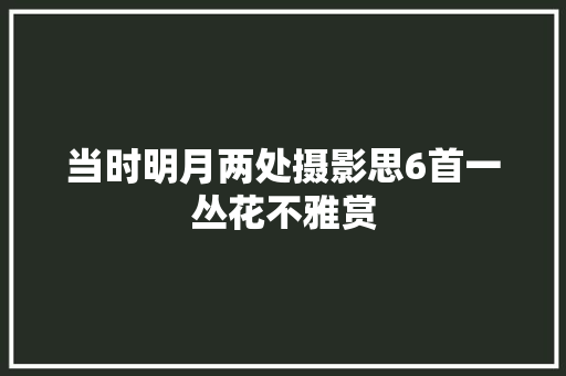 当时明月两处摄影思6首一丛花不雅赏