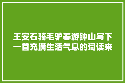王安石骑毛驴春游钟山写下一首充满生活气息的词读来耳目一新
