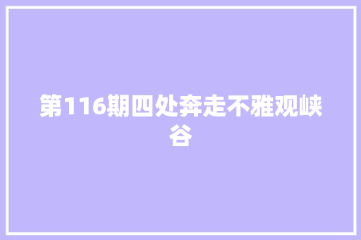 第116期四处奔走不雅观峡谷