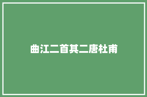 曲江二首其二唐杜甫