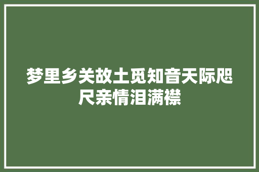 梦里乡关故土觅知音天际咫尺亲情泪满襟