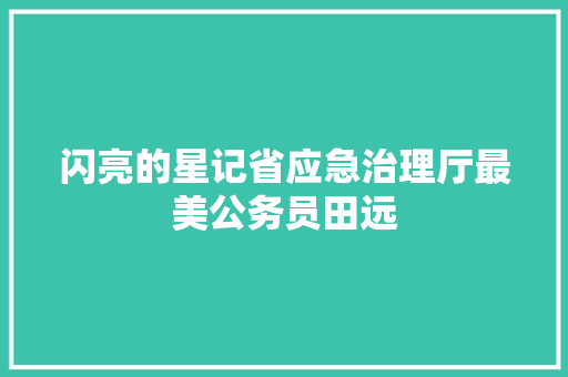 闪亮的星记省应急治理厅最美公务员田远