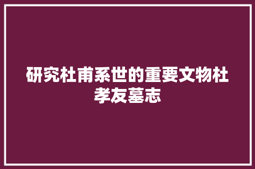 研究杜甫系世的重要文物杜孝友墓志