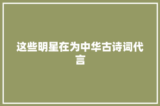 这些明星在为中华古诗词代言
