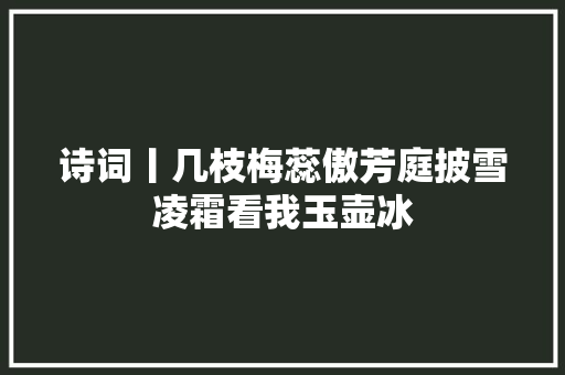 诗词丨几枝梅蕊傲芳庭披雪凌霜看我玉壶冰