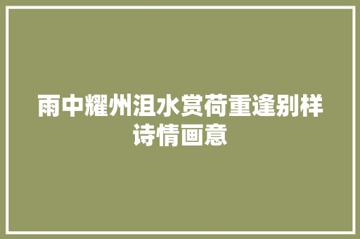 雨中耀州沮水赏荷重逢别样诗情画意