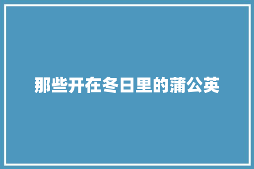 那些开在冬日里的蒲公英