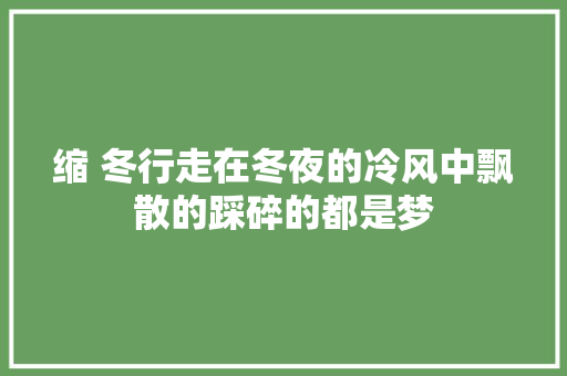 缩 冬行走在冬夜的冷风中飘散的踩碎的都是梦