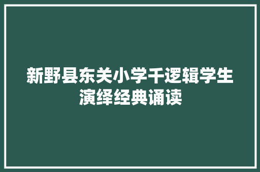 新野县东关小学千逻辑学生演绎经典诵读