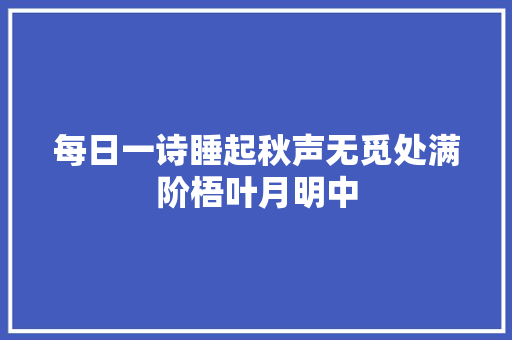 每日一诗睡起秋声无觅处满阶梧叶月明中