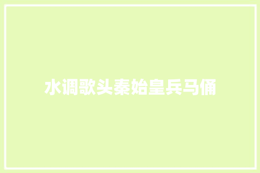 水调歌头秦始皇兵马俑