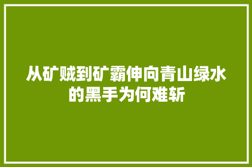 从矿贼到矿霸伸向青山绿水的黑手为何难斩