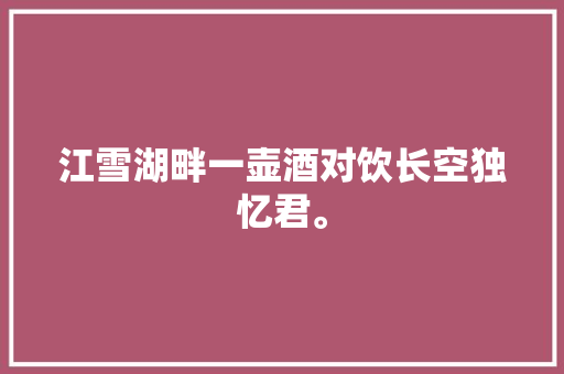 江雪湖畔一壶酒对饮长空独忆君。