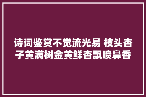 诗词鉴赏不觉流光易 枝头杏子黄满树金黄鲜杏飘喷鼻香