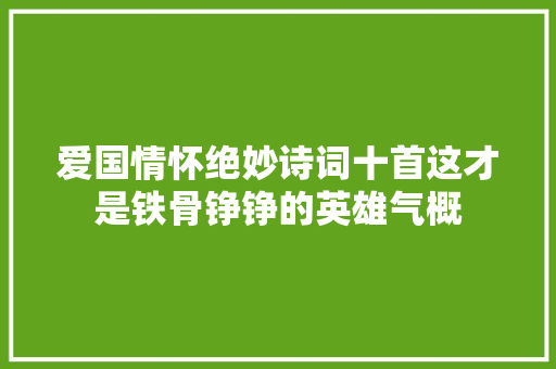 爱国情怀绝妙诗词十首这才是铁骨铮铮的英雄气概