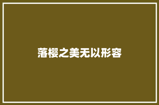 落樱之美无以形容