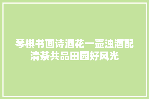 琴棋书画诗酒花一壶浊酒配清茶共品田园好风光