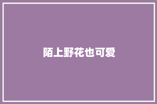 陌上野花也可爱