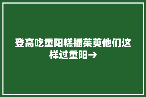 登高吃重阳糕插茱萸他们这样过重阳→