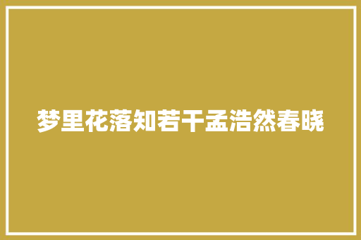 梦里花落知若干孟浩然春晓