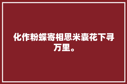 化作粉蝶寄相思米囊花下寻万里。