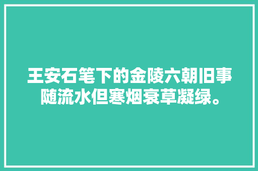 王安石笔下的金陵六朝旧事随流水但寒烟衰草凝绿。
