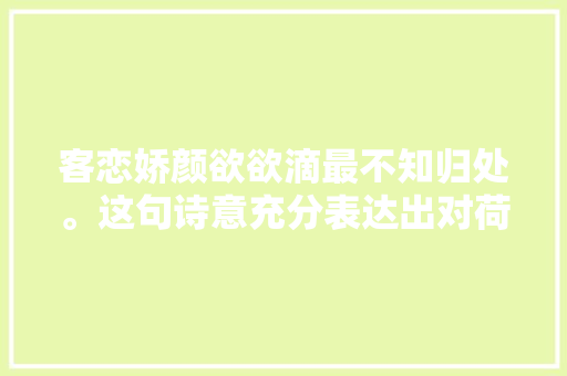客恋娇颜欲欲滴最不知归处。这句诗意充分表达出对荷花眷恋之情