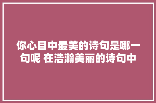 你心目中最美的诗句是哪一句呢 在浩瀚美丽的诗句中