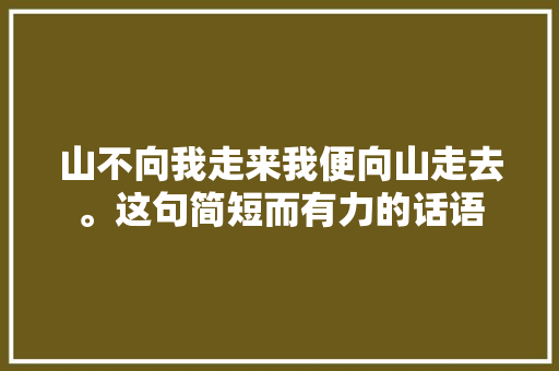 山不向我走来我便向山走去。这句简短而有力的话语