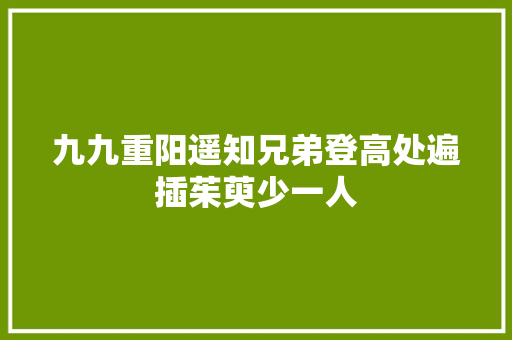 九九重阳遥知兄弟登高处遍插茱萸少一人
