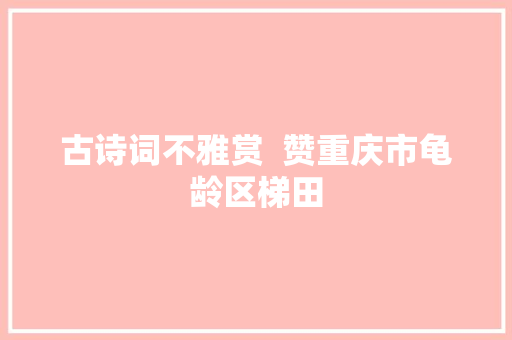 古诗词不雅赏  赞重庆市龟龄区梯田