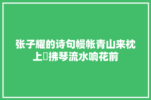 张子耀的诗句幔帐青山来枕上‌拂琴流水响花前